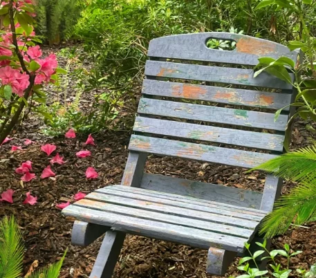 Chair surrounded by foliage